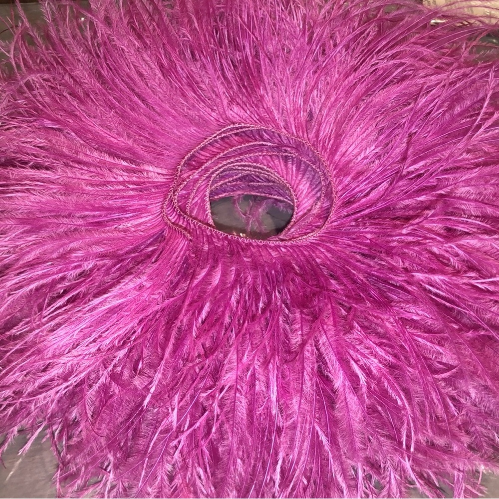 Ostrich feather trim